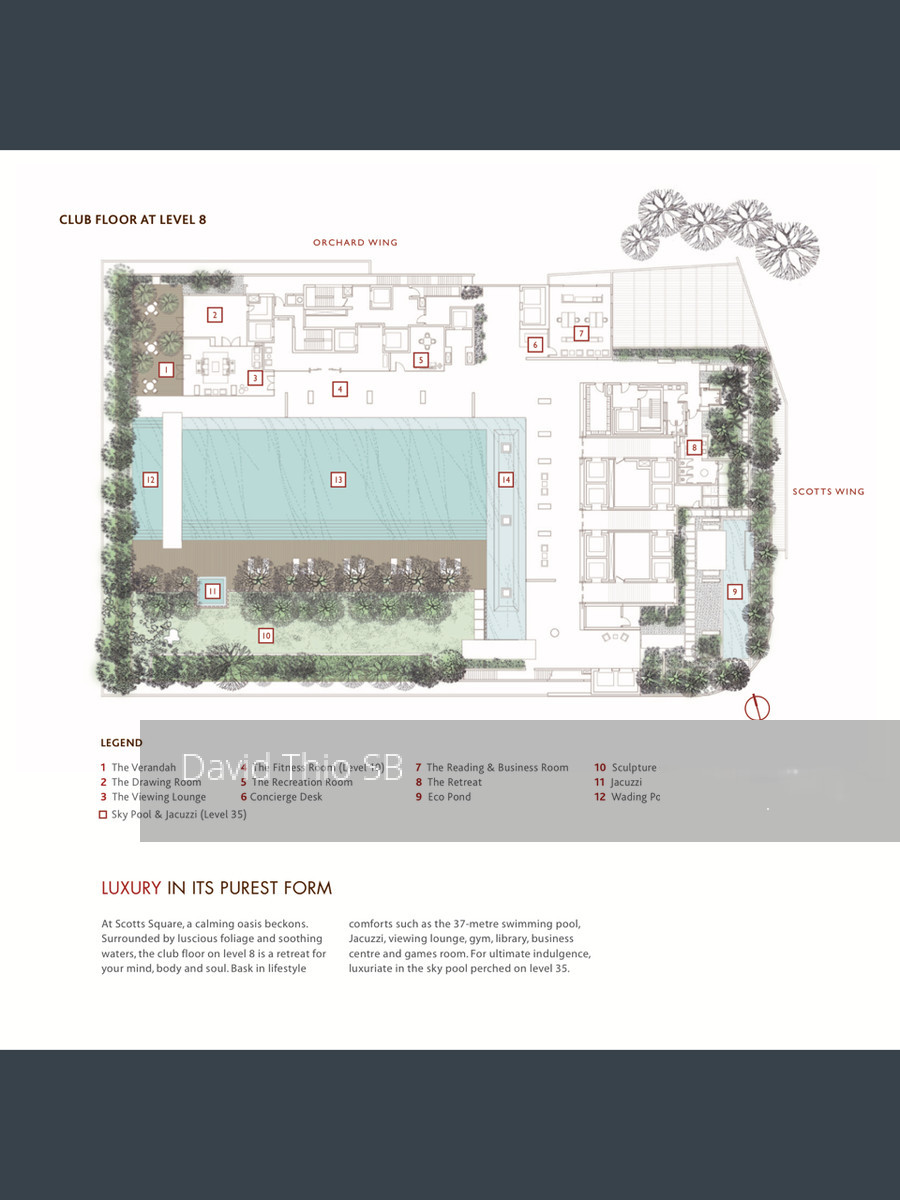 Scotts Square (D9), Apartment #133786682